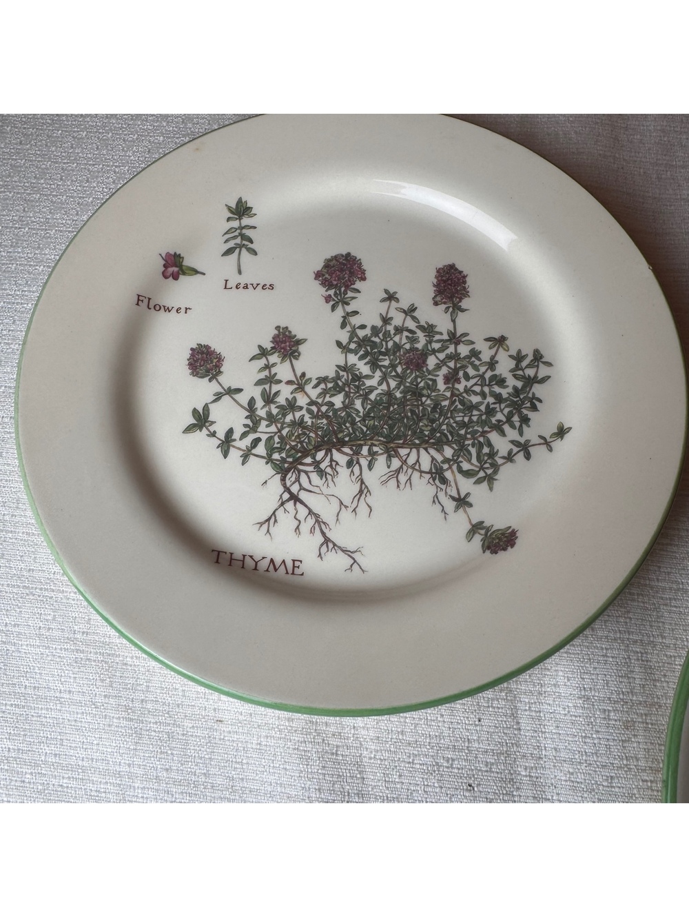 Vintage Williams Sonoma Culinary Herbs Plates Set Of 2 Thyme Borage 9 Inch - Picture 4 of 8